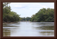 In der Nähe der Rio Ventuari-Mündung ist der Rio Orinoco deltamäßig zerteilt.